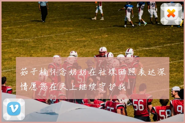 茹子楠怀念奶奶在社媒晒照表达深情愿您在天上继续守护我